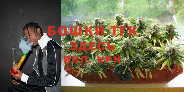 дживик Володарск